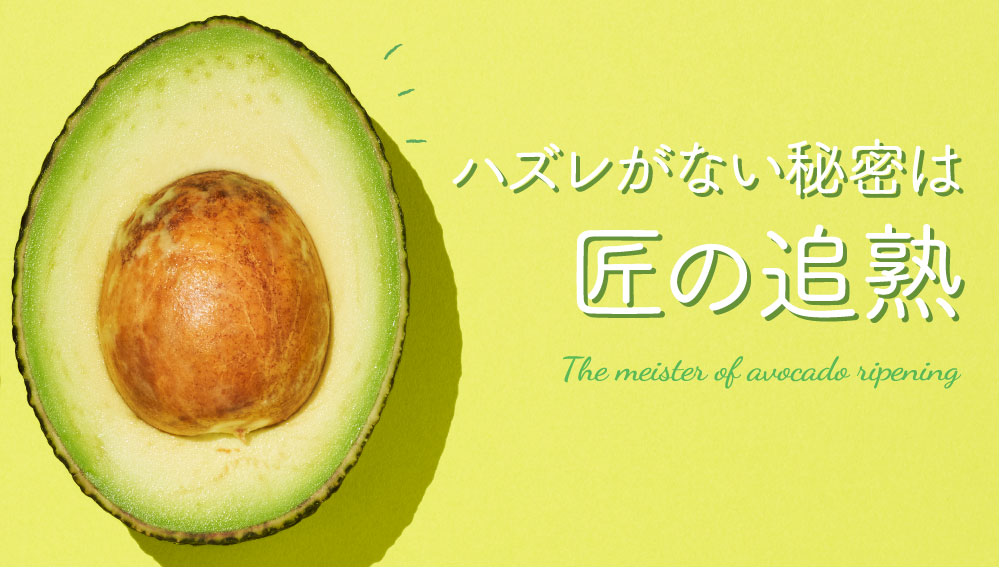 ハズレがない秘密は匠の追熟 The meister of avocado ripening