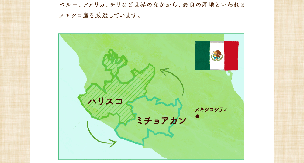 ペルー、アメリカ、チリなど世界のなかから、最良の産地といわれるメキシコ産を厳選しています。